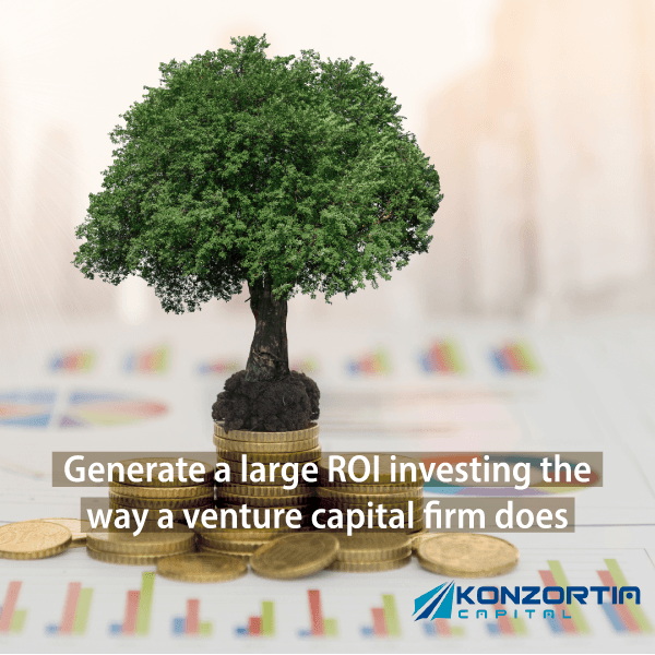 Invest The Way Venture Capital Firms Do and Generate A Large ROI